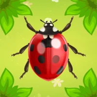 बग मैश: मज़ेदार बग स्मैशिंग